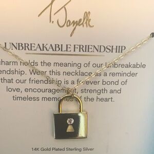 Gold with stone Friendship Necklace